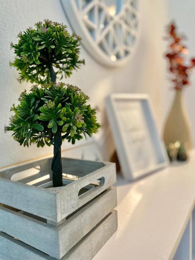 Apartamento Charming Velarde Malasana Madrid